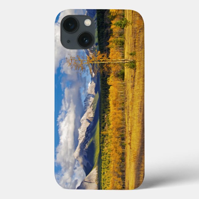 Blue skies and clouds above a meadow Case-Mate iPhone case (Back)
