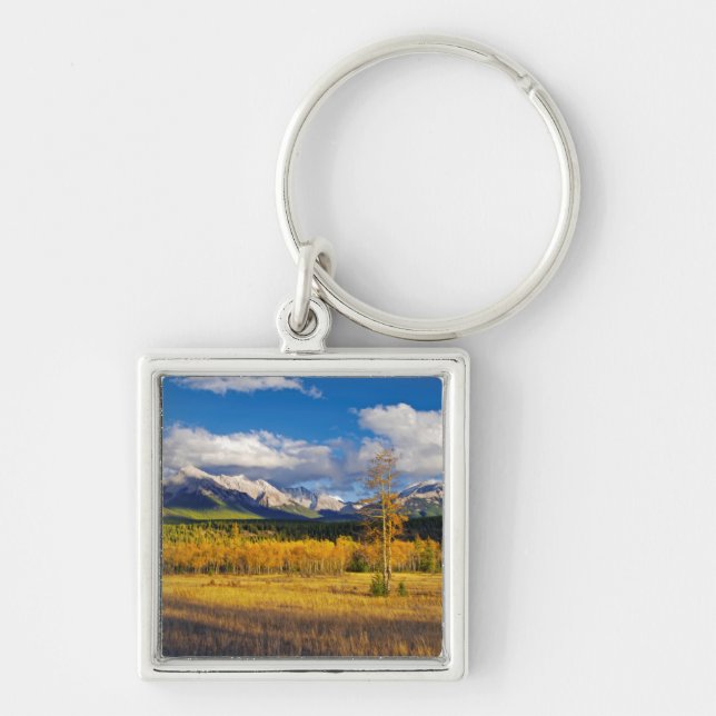 Blue skies and clouds above a meadow key ring (Front)