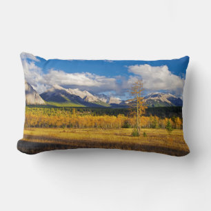 Blue skies and clouds above a meadow lumbar cushion