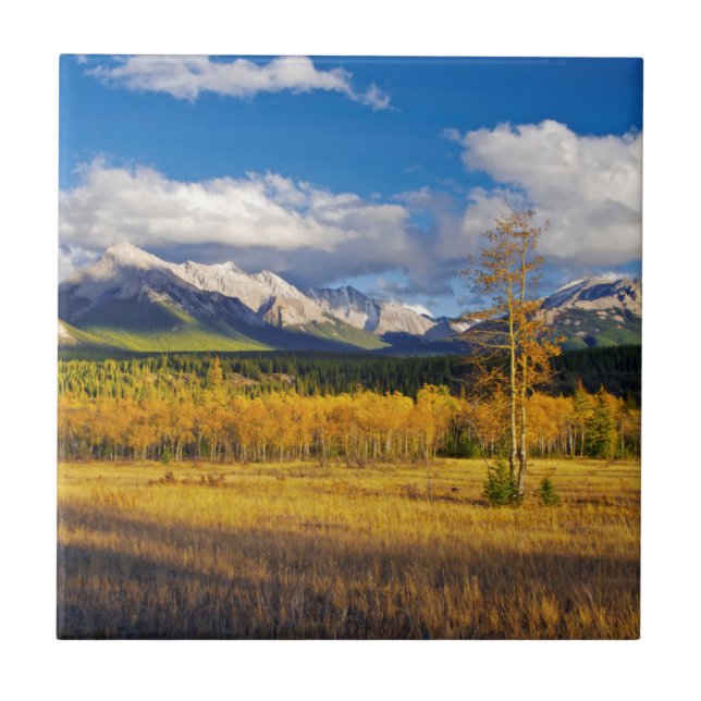 Blue skies and clouds above a meadow tile (Front)