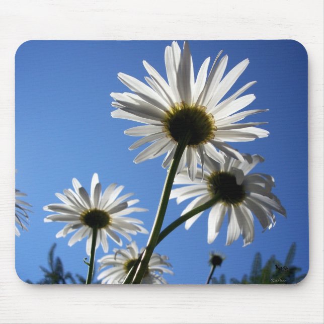 Blue Skies Mouse Pad (Front)