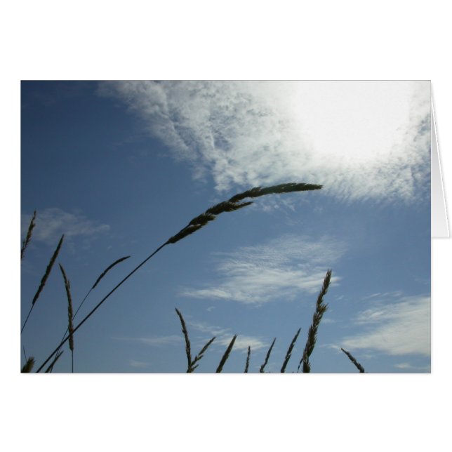 Blue Sky (Front Horizontal)