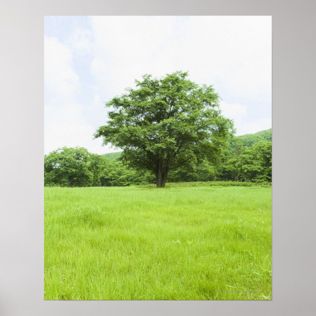 Blue sky and field of grass poster (Front)