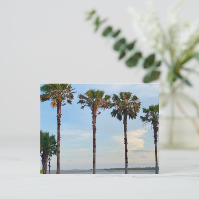 Blue Sky and Trees  Postcard (Standing Front)