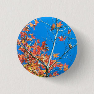 Blue Sky Autumn Tree 3 Cm Round Badge