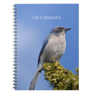 Blue Sky Bluebird Tree (my photography) Notebook
