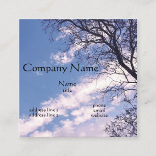 Blue Sky Business Cards