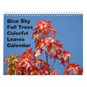 Blue Sky Fall Trees Calendar Colourful Leaves