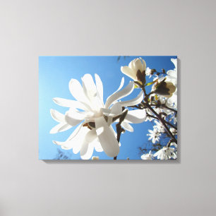 Blue Sky Magnolia Floral Canvas Art Prints Spring