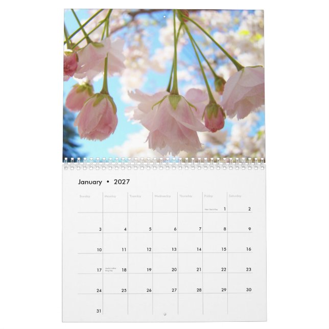 Blue Sky Pink Spring Calendar Nature Trees Flowers (Jan 2027)
