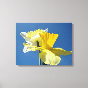 Blue Sky Spring canvas art prints Daffodil Flowers