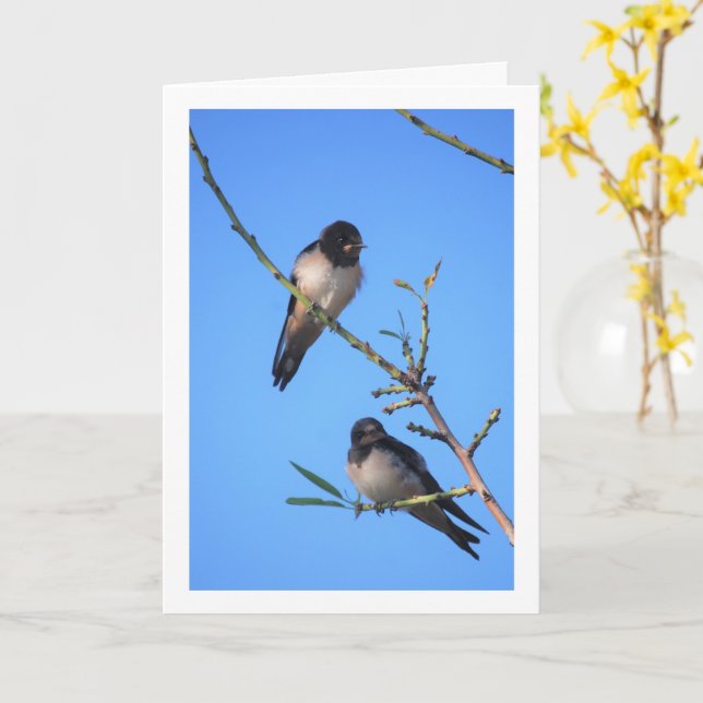Blue Sky, Swallow Birds Portrait Card (Yellow Flower)