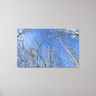 Blue Sky, Trees in Winter Canvas Print