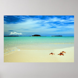 Blue Sky, White Sand And Starfish Belitung Poster
