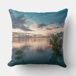 blue sky with red and dark clouds reflected on sea cushion