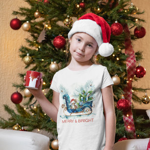 Blue Sled Baby Reindeer Tri-Blend Shirt