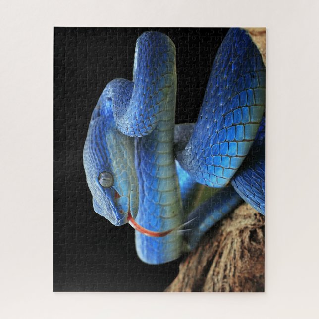 Blue snake jigsaw puzzle (Vertical)