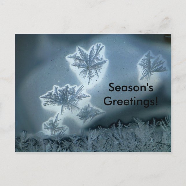 Blue Snow Postcard (Front)
