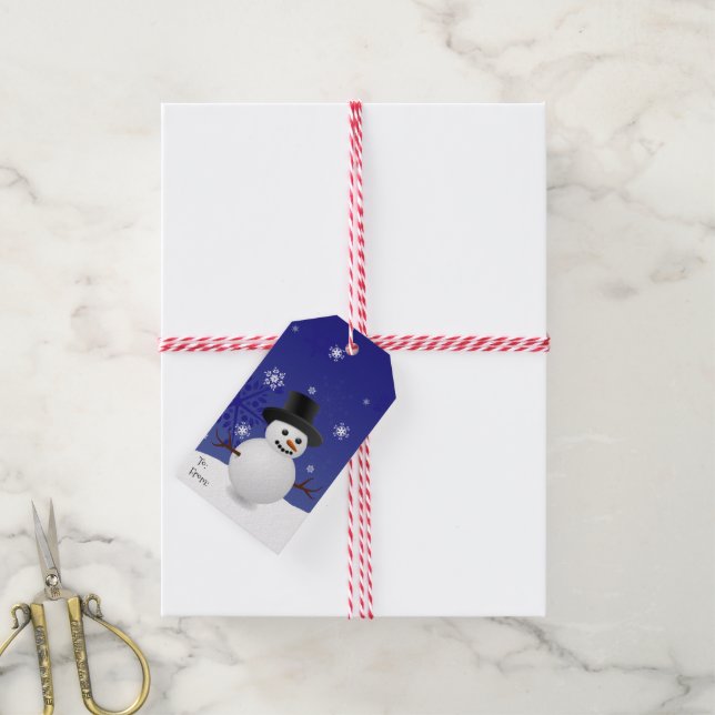 Blue Snowman Winter Scenery Christmas Gift Tag (With Twine)