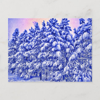 Blue Snowscape, Conifer, CO Postcard
