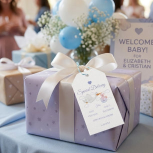 Blue Special Delivery Stork Baby Shower Gift Tags