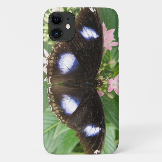 Blue Spotted Butterfly iPhone Case (Back)