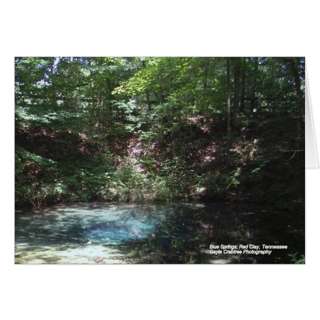 Blue spring at Red Clay (Front Horizontal)