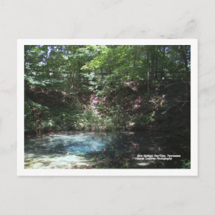 Blue Spring at Red Clay, Tennessee Postcard