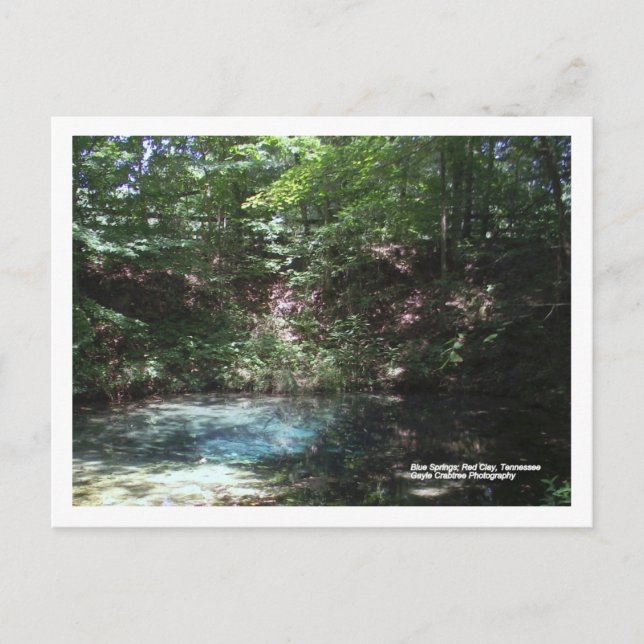 Blue Spring at Red Clay, Tennessee Postcard (Front)