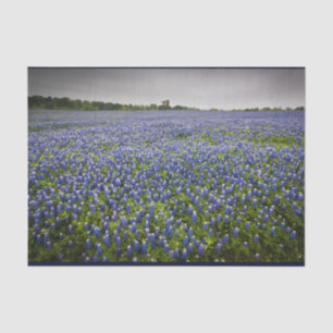 Blue Spring Bluebonnet Field Texas State Flower Tissue Paper