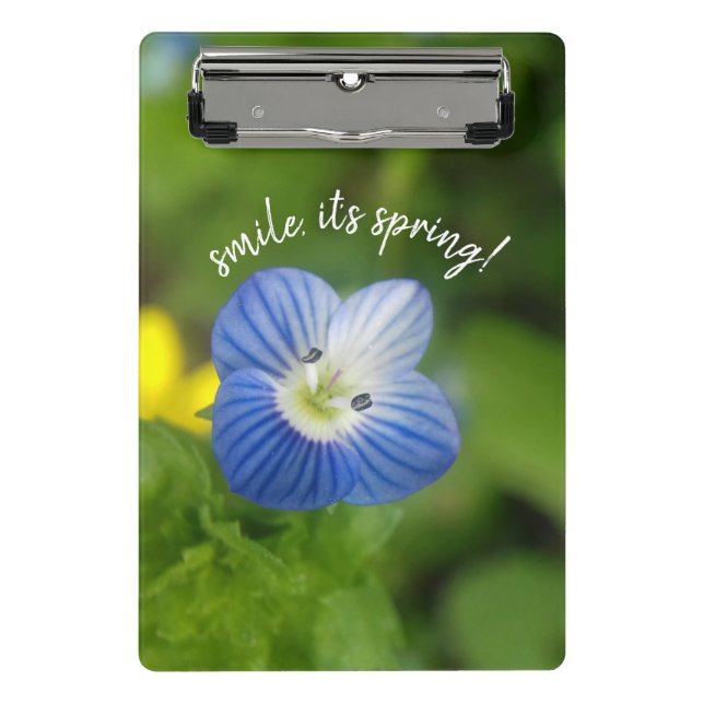 blue spring - clipboard (Front)