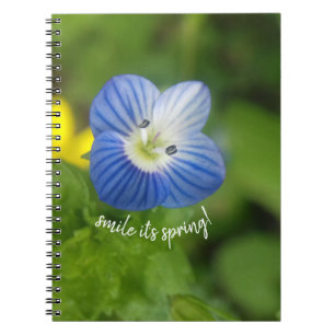 blue spring - notebook