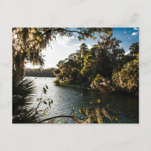 Blue Springs State Park, Florida Postcard