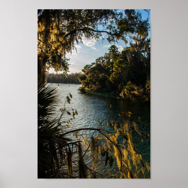 Blue Springs State Park, Florida Poster (Front)