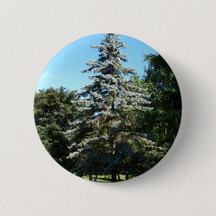 Blue Spruce Button