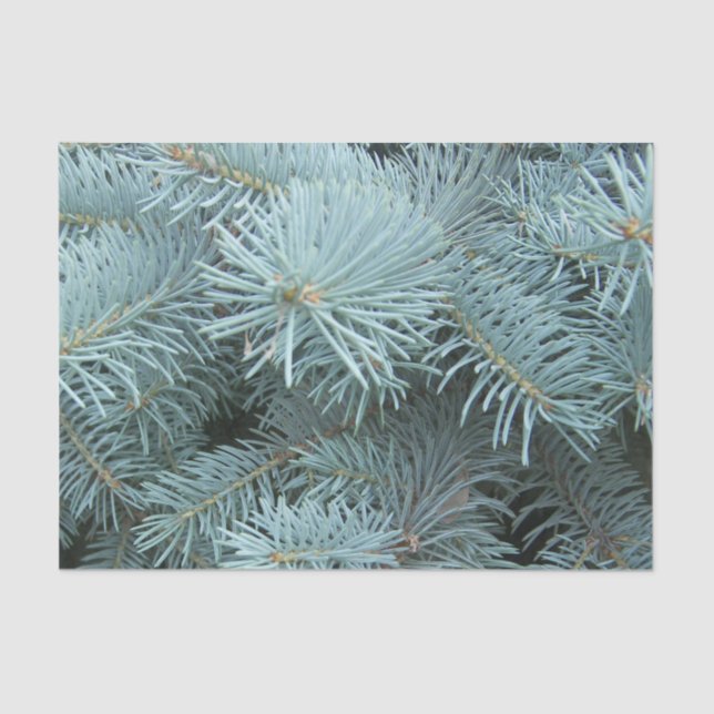 Blue spruce grey winter tissue paper (Front)