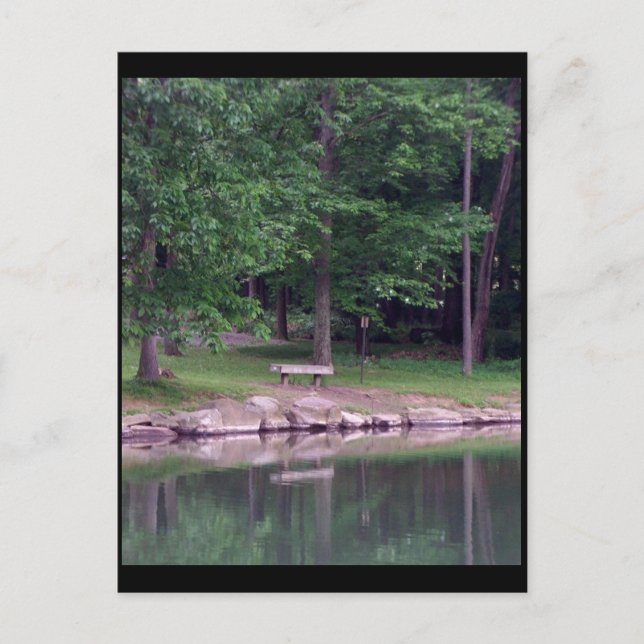 Blue Spruce Park #4 Postcard (Front)