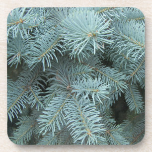 Blue spruce tree grey blue rustic nature coaster