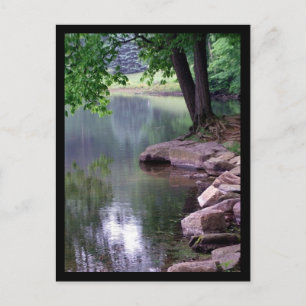 Blue Spuce Park Postcard #1