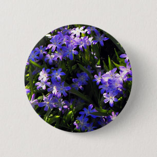 Blue Squill Spring Flowers 6 Cm Round Badge