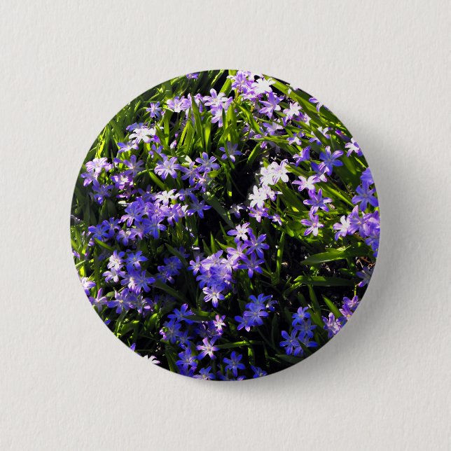 Blue Squill Spring Flowers 6 Cm Round Badge (Front)