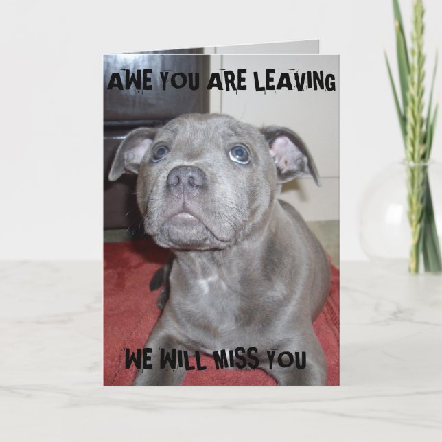 Blue Staffordshire Bull Terrier Puppy, Card (Front)