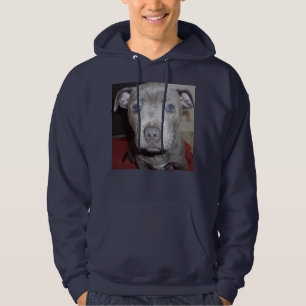 Blue Staffordshire Bull Terrier Puppy, Hoodie