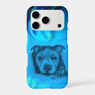 Blue Staffy Puppy
