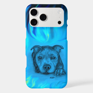 Blue Staffy Puppy