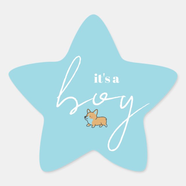 Blue Star Shape Baby Shower Sticker Corgi Design (Front)
