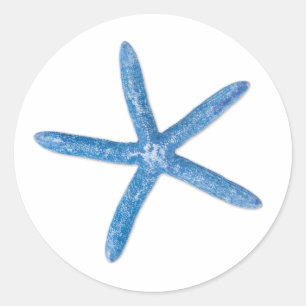 Blue Starfish Classic Round Sticker
