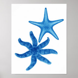 Blue Starfish no. 5 beach wall decor