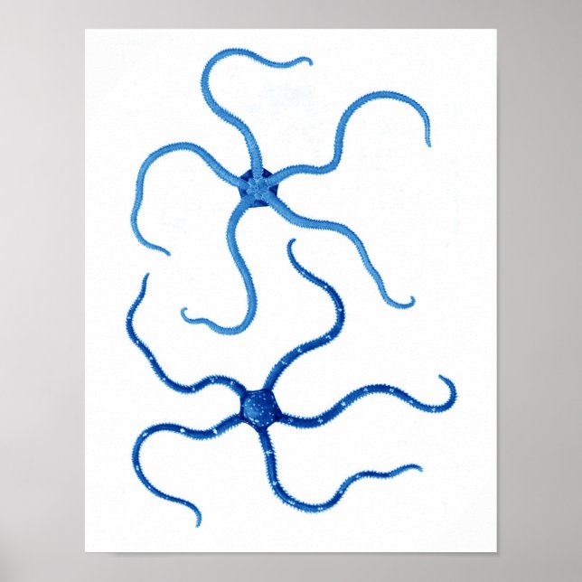 Blue Starfish no. 6 beach wall decor (Front)