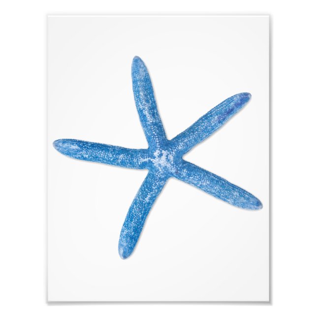 Blue Starfish Photo Print (Front)